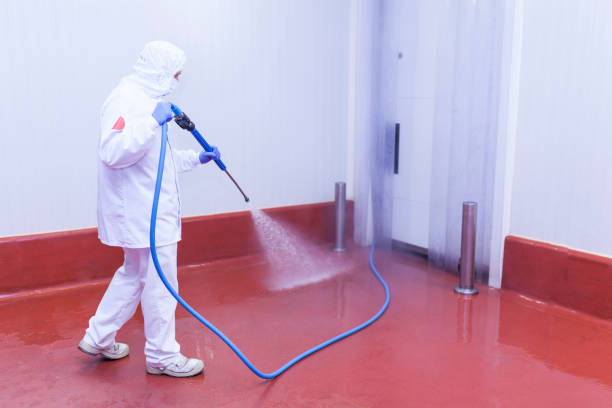 Trusted South Lakes, AK Pressure Washing Services Experts